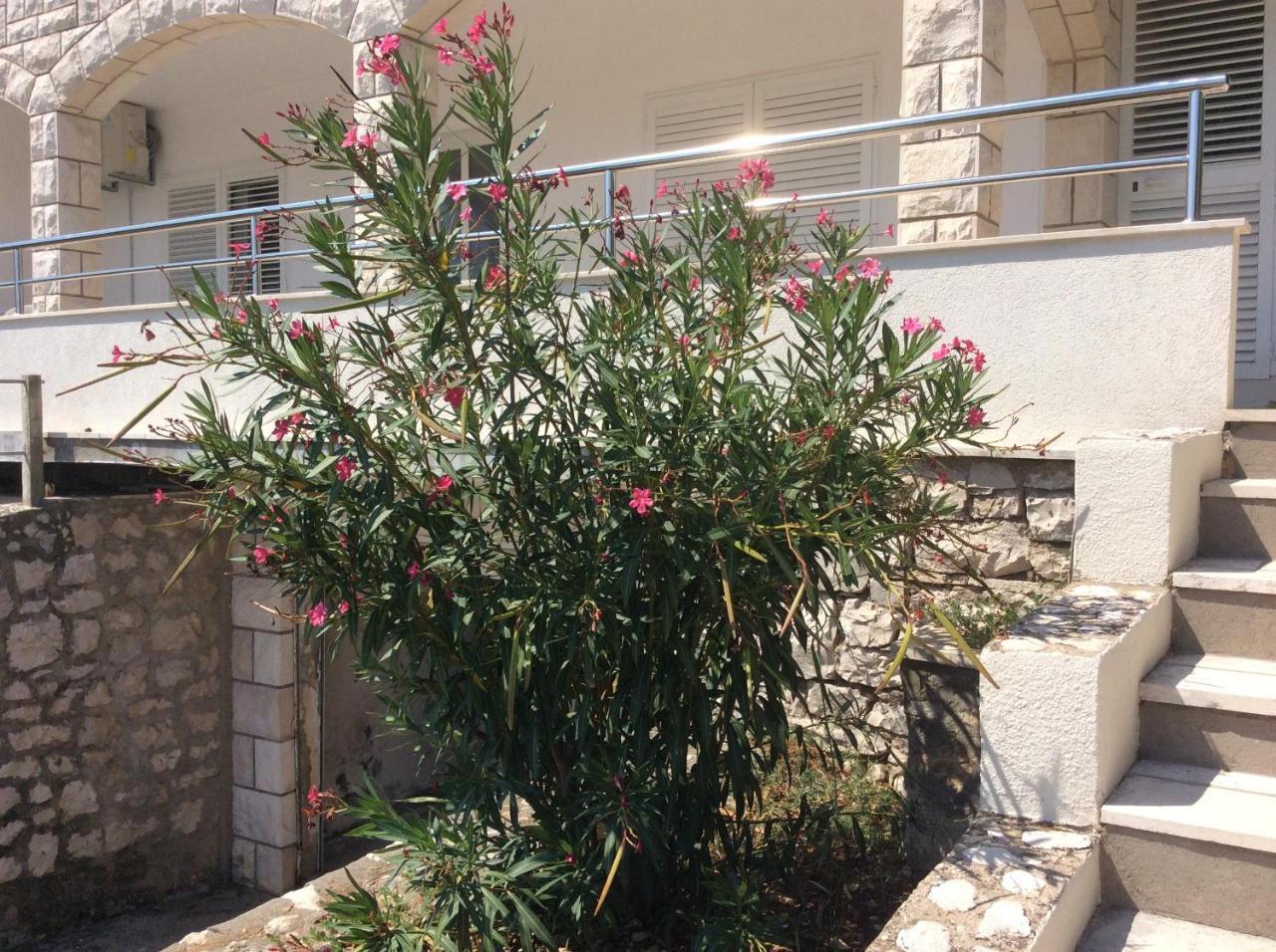 Lux Apartments Korčula Exteriör bild